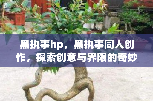 黑执事hp，黑执事同人创作，探索创意与界限的奇妙之旅
