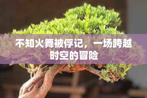 不知火舞被俘记，一场跨越时空的冒险