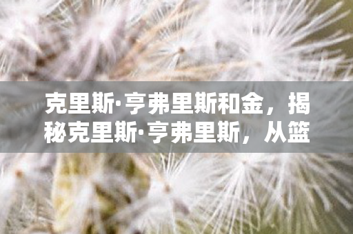 克里斯·亨弗里斯和金，揭秘克里斯·亨弗里斯，从篮球巨星到商业巨头的跨界传奇