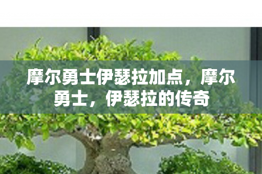 摩尔勇士伊瑟拉加点，摩尔勇士，伊瑟拉的传奇