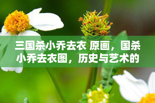 三国杀小乔去衣 原画图片