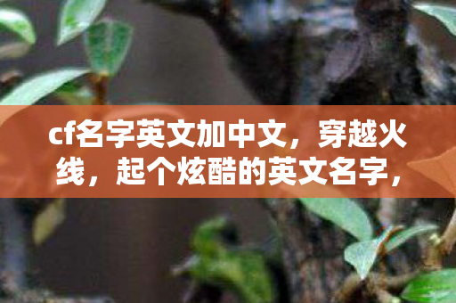 cf名字英文加中文图片