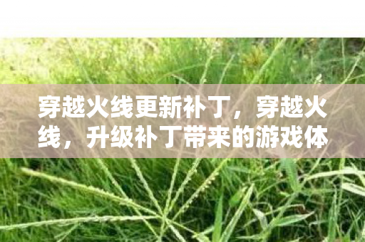 升级补丁带来的游戏体验变革图片