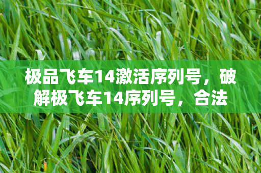 极品飞车14激活序列号图片