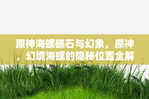原神海螺礁石与幻象，原神，幻境海螺的隐秘位置全解析