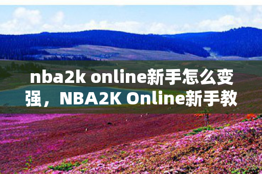 nba2k online新手怎么变强，NBA2K Online新手教学指南