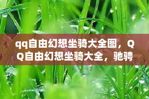 qq自由幻想坐骑大全图图片