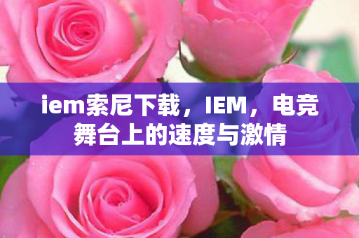 电竞舞台上的速度与激情图片