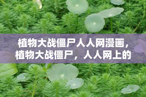 植物大战僵尸人人网漫画图片