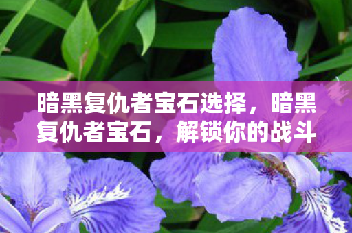 暗黑复仇者宝石选择，暗黑复仇者宝石，解锁你的战斗潜能