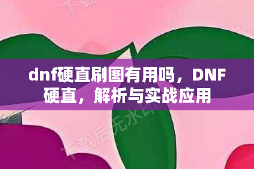 dnf硬直刷图有用吗，DNF硬直，解析与实战应用