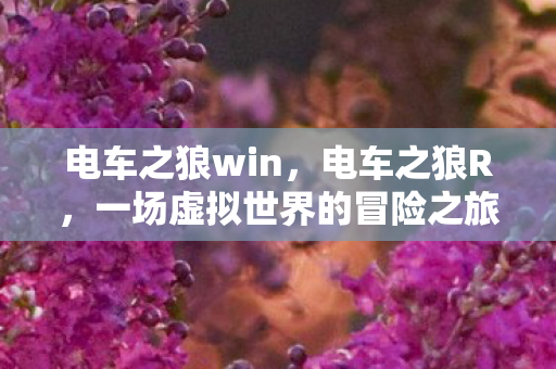 一场虚拟世界的冒险之旅图片