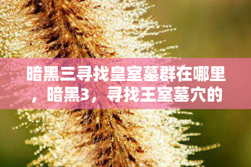 暗黑三寻找皇室墓群在哪里，暗黑3，寻找王室墓穴的冒险之旅