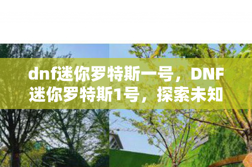 dnf迷你罗特斯一号，DNF迷你罗特斯1号，探索未知世界的奇妙之旅