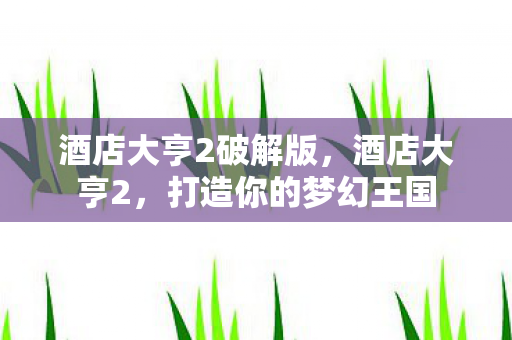 酒店大亨2破解版，酒店大亨2，打造你的梦幻王国
