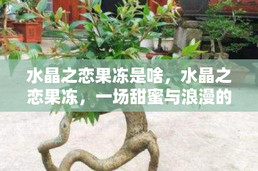 一场甜蜜与浪漫的误会图片