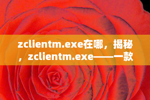 一款神秘软件的背后故事图片