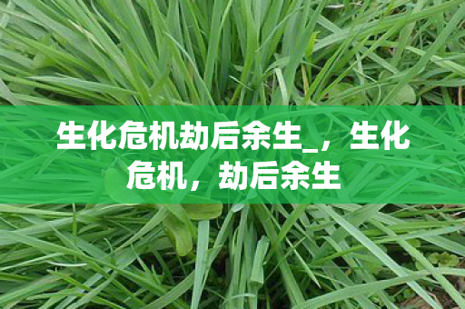 生化危机劫后余生图片