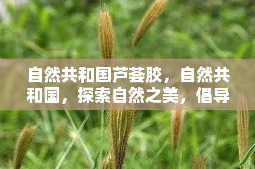 自然共和国芦荟胶图片