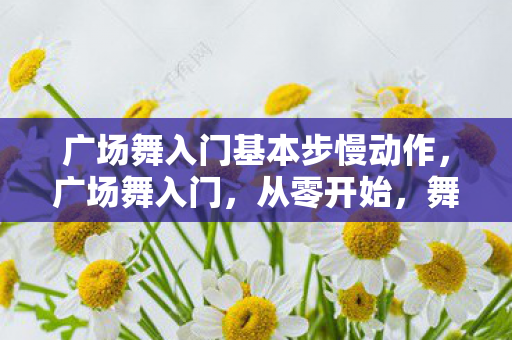 广场舞入门基本步慢动作图片