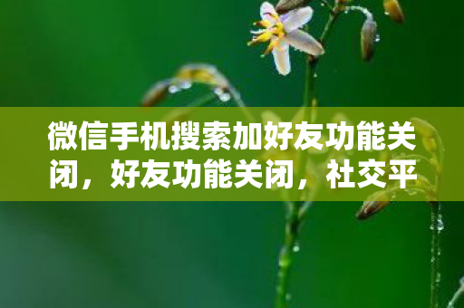 微信手机搜索加好友功能关闭图片
