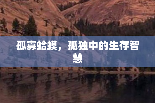 孤独中的生存智慧图片