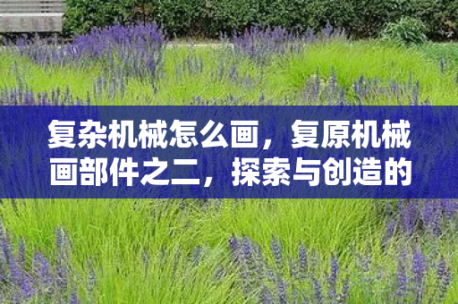 探索与创造的奇妙之旅图片