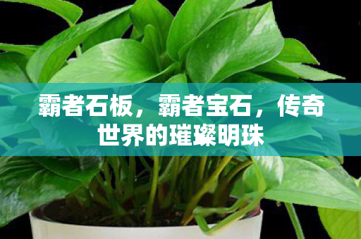 传奇世界的璀璨明珠图片