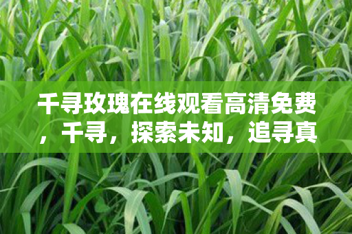 千寻玫瑰在线观看高清免费图片