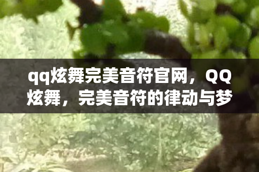 qq炫舞完美音符官网图片