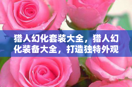 猎人幻化套装大全图片