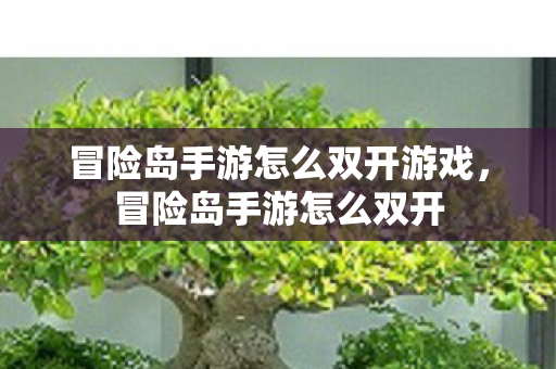 冒险岛手游怎么双开游戏图片