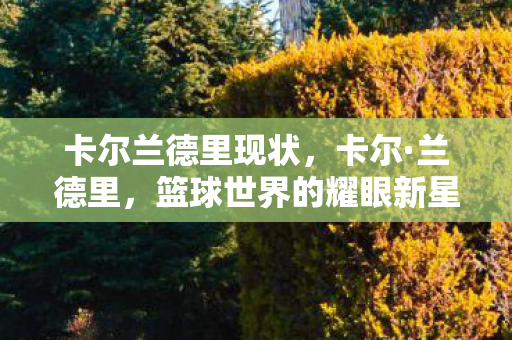 卡尔兰德里现状，卡尔·兰德里，篮球世界的耀眼新星