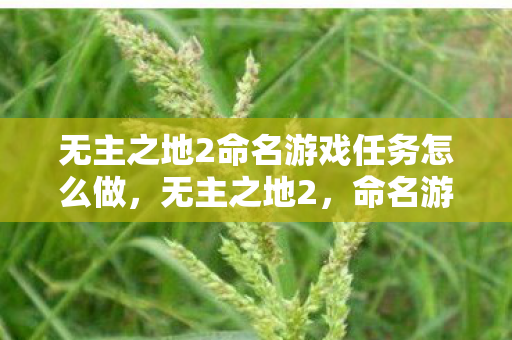 无主之地2命名游戏任务怎么做图片