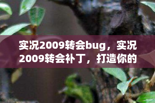 实况2009转会bug图片