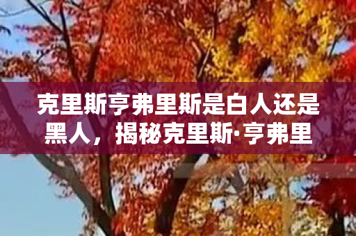 克里斯亨弗里斯是白人还是黑人，揭秘克里斯·亨弗里斯，一个传奇人物的多面魅力