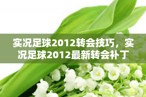 实况足球2012最新转会补丁图片