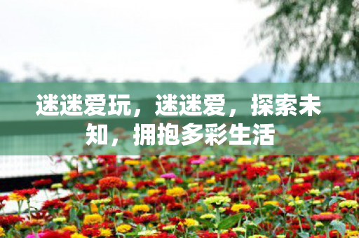 拥抱多彩生活图片