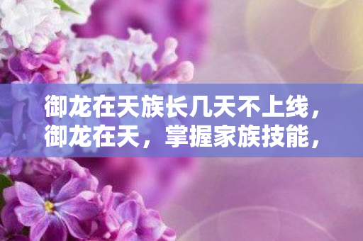 御龙在天族长几天不上线图片