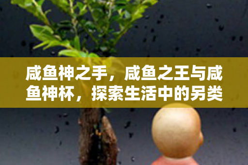 探索生活中的另类智慧图片