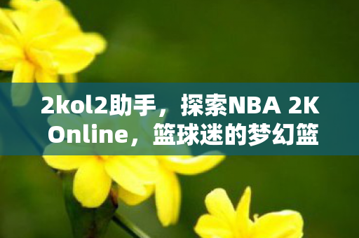 2kol2助手，探索NBA 2K Online，篮球迷的梦幻篮球世界