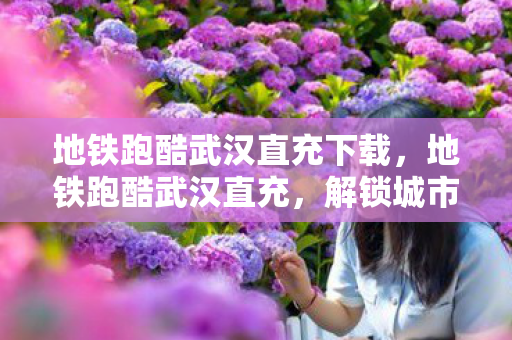 地铁跑酷武汉直充下载图片