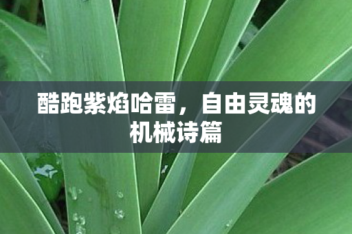 自由灵魂的机械诗篇图片