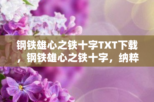 钢铁雄心之铁十字TXT下载图片