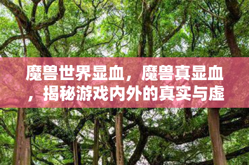 揭秘游戏内外的真实与虚幻图片