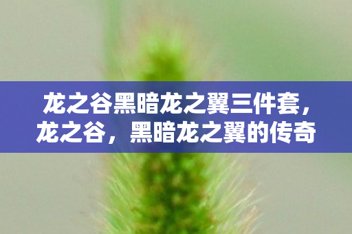 龙之谷黑暗龙之翼三件套图片