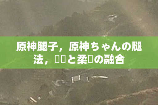 原神ちゃんの腿法图片