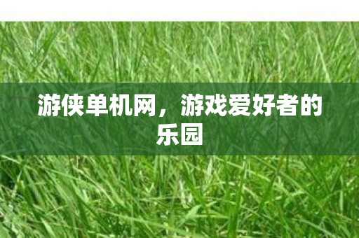 游侠单机网，游戏爱好者的乐园