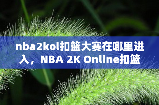 nba2kol扣篮大赛在哪里进入，NBA 2K Online扣篮大赛，热血与荣耀的较量