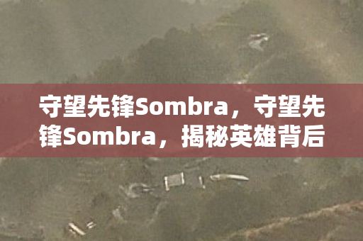 揭秘英雄背后的故事与游戏策略图片